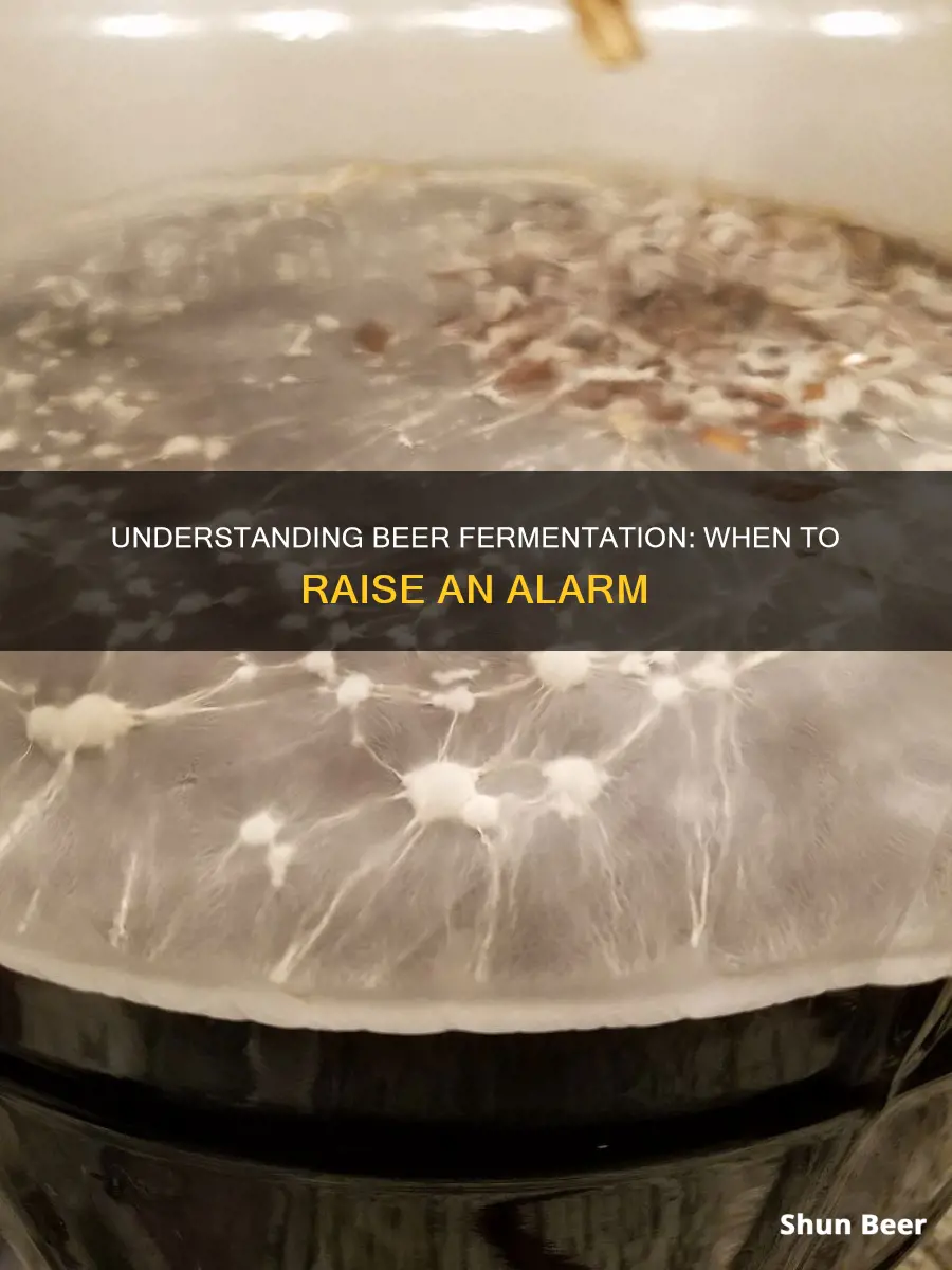 when to worry about beer fermenting