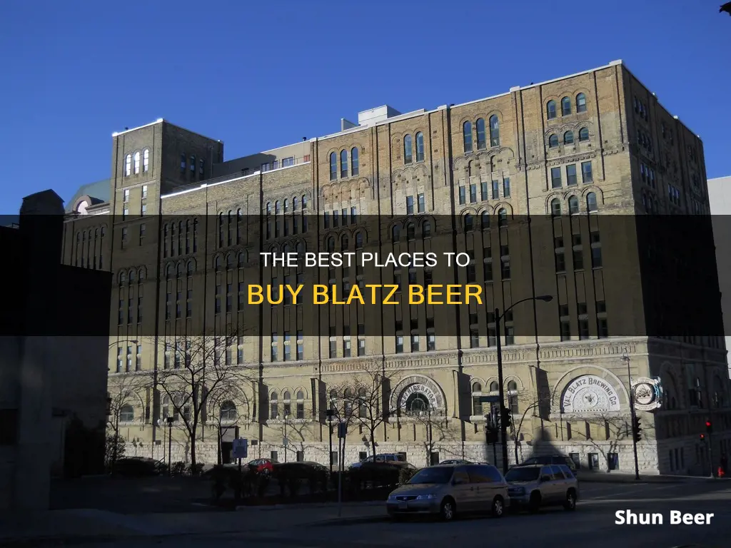 where buy blatz beer