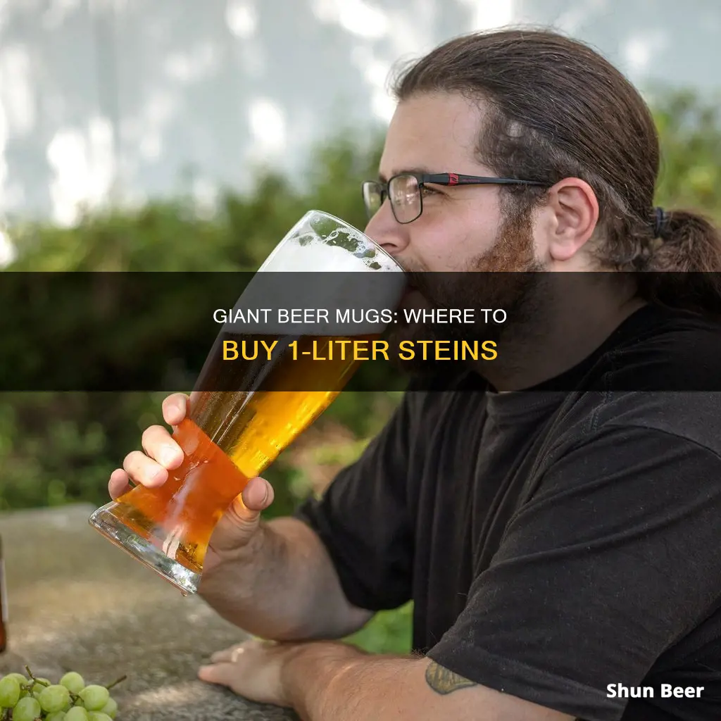 where can i buy 1 liter beer mug