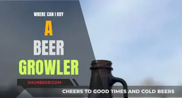 Best Beer Growler Buying Options for You