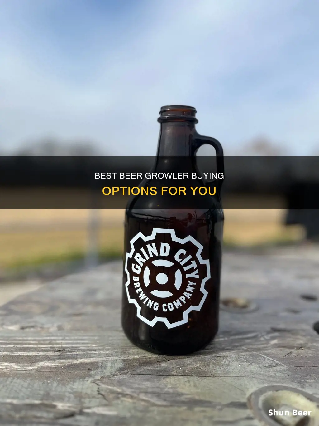 where can i buy a beer growler