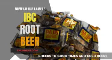 Best Places to Buy IBC Root Beer in Bulk