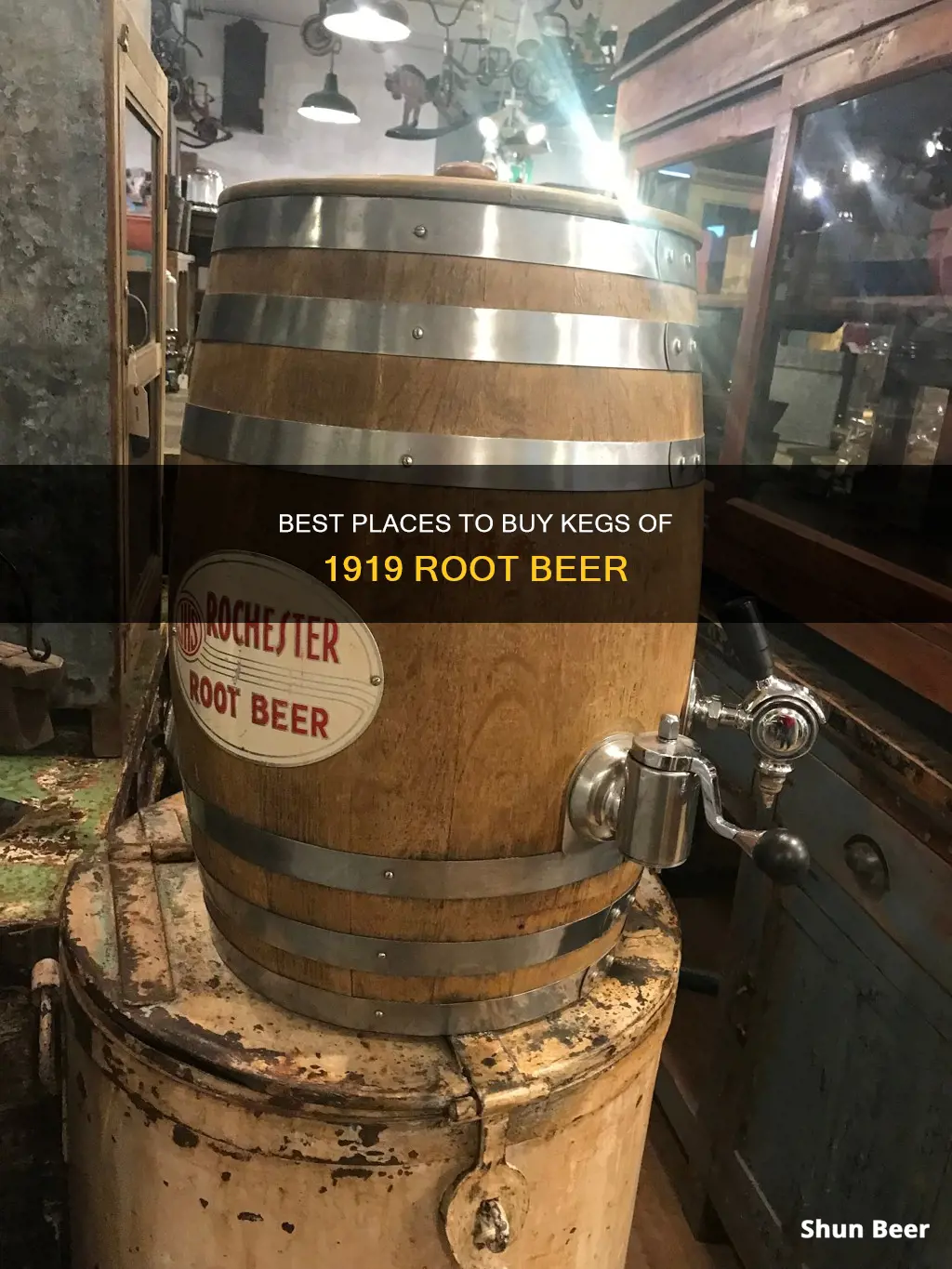 where can i buy a keg of 1919 root beer