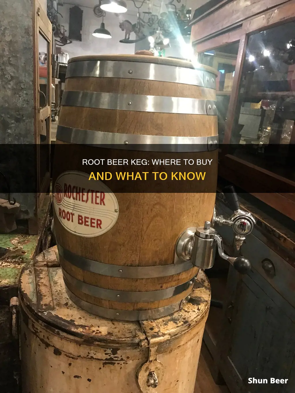 where can i buy a root beer keg