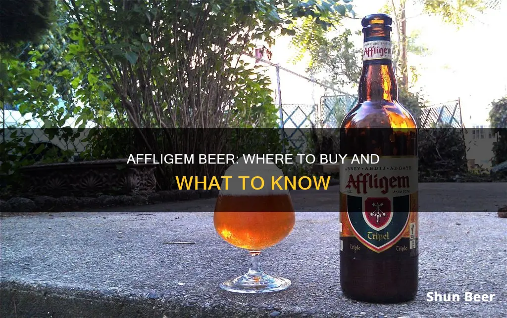 where can i buy affligem beer