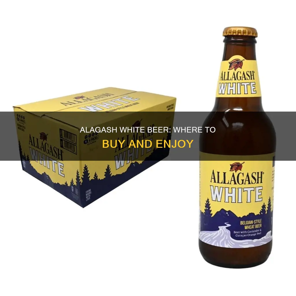 where can i buy alagash white beer