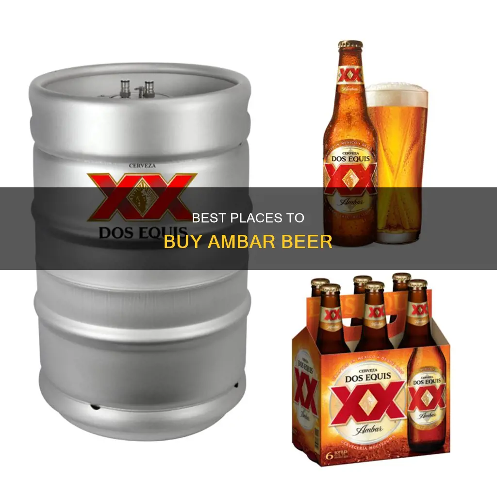 where can i buy ambar beer