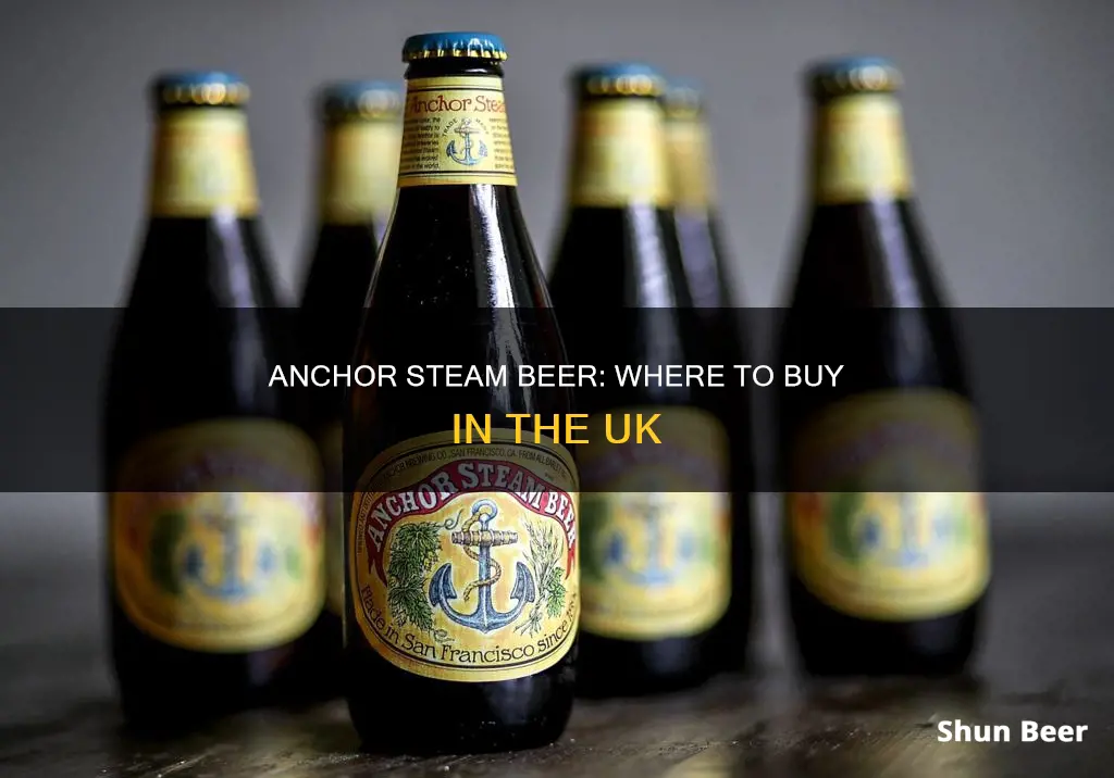 where can i buy anchor steam beer in the uk