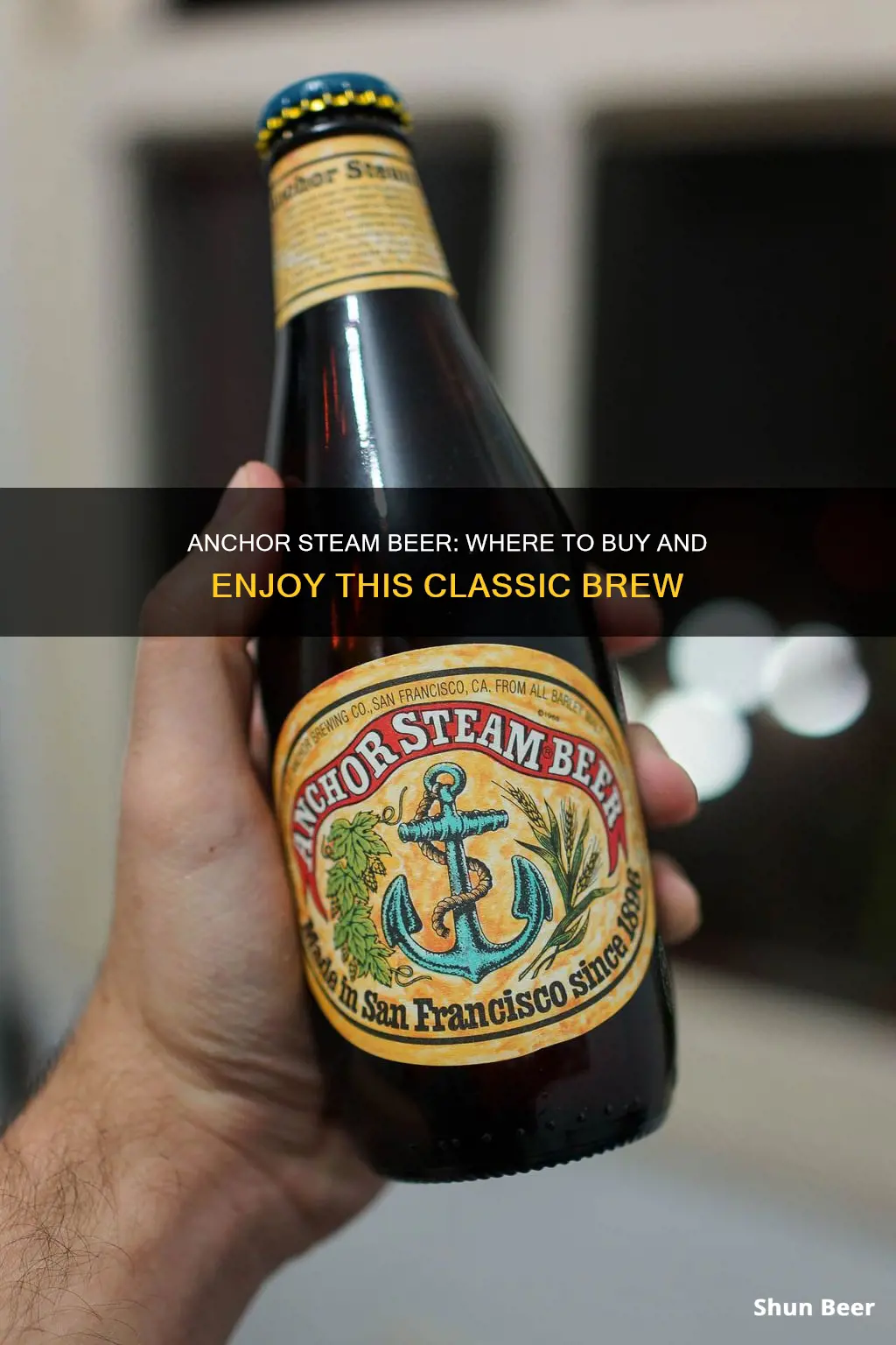 where can i buy anchor steam beer