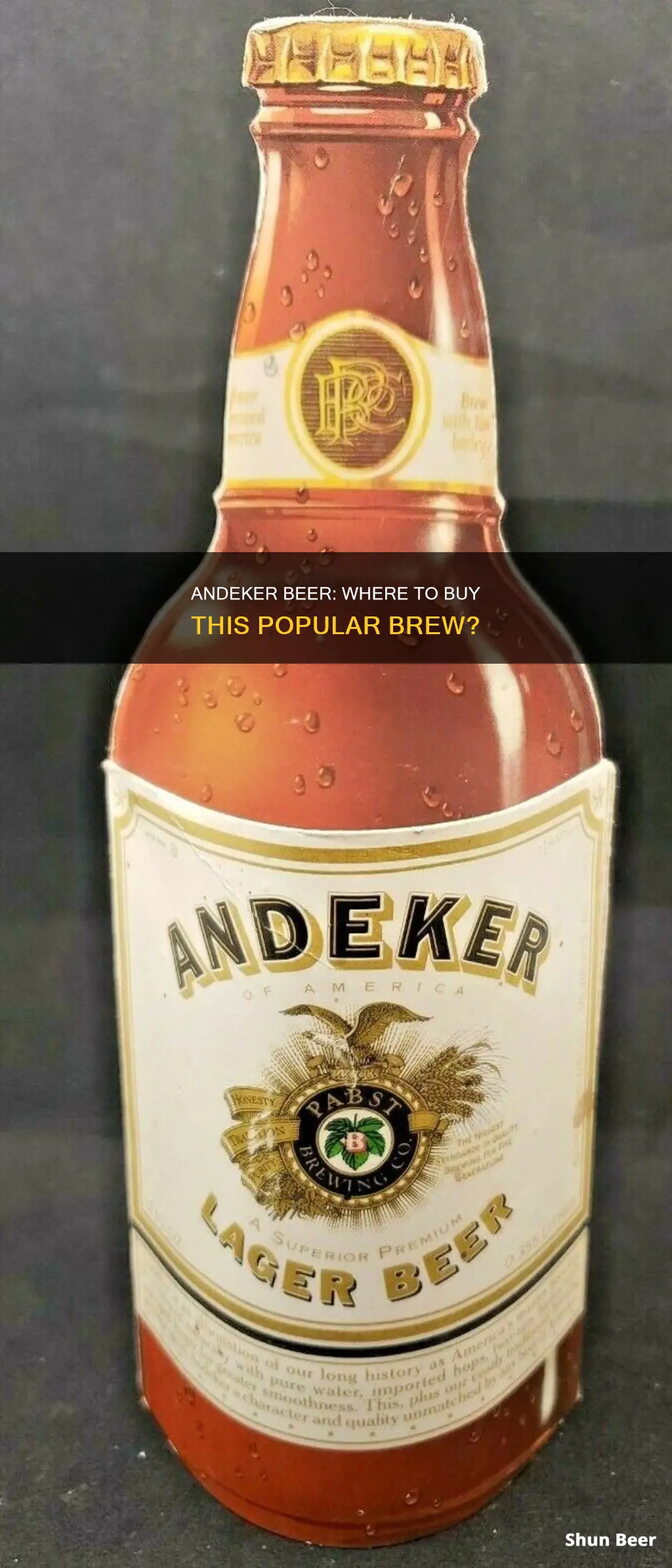 where can i buy andeker beer