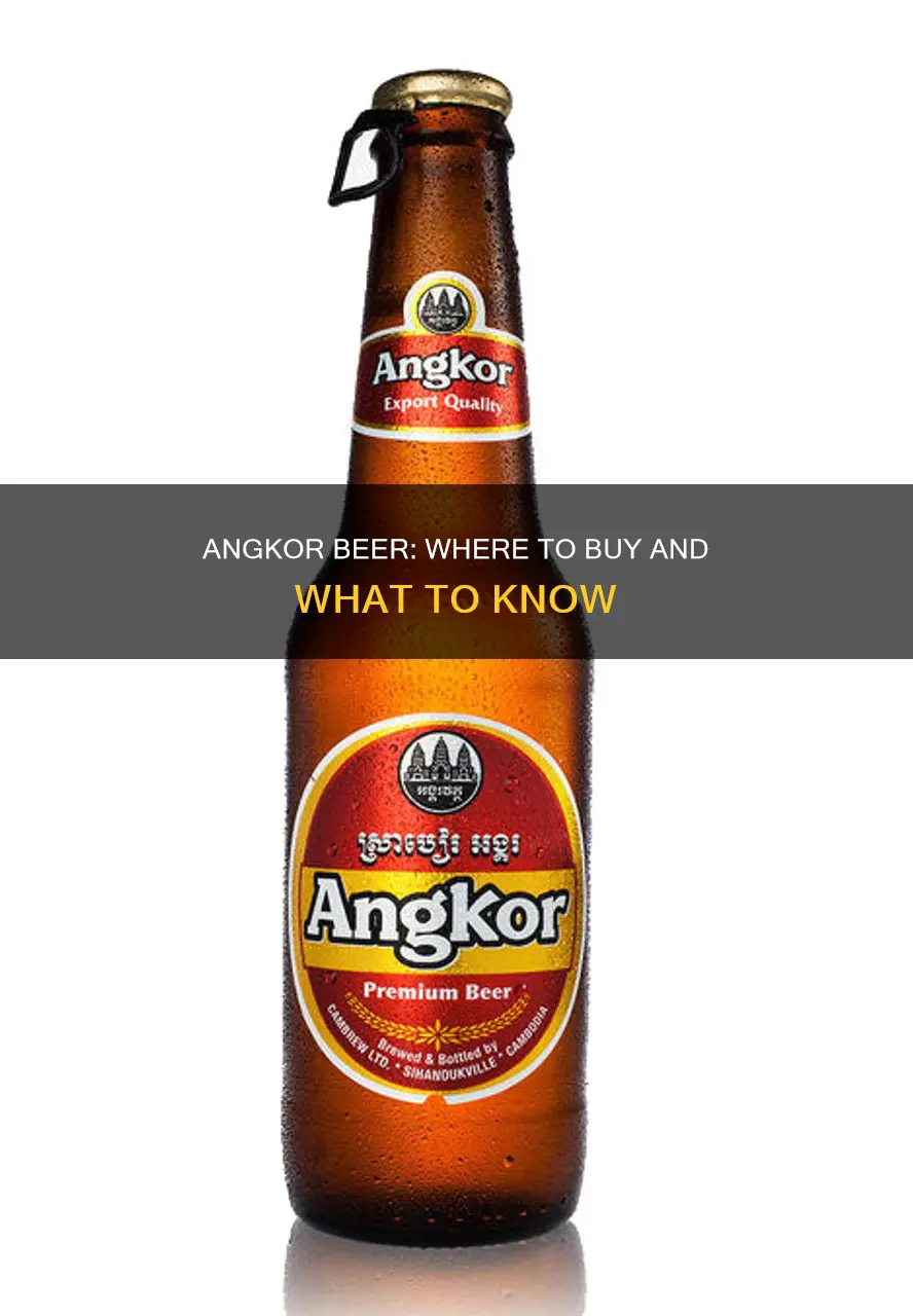 where can i buy angkor beer