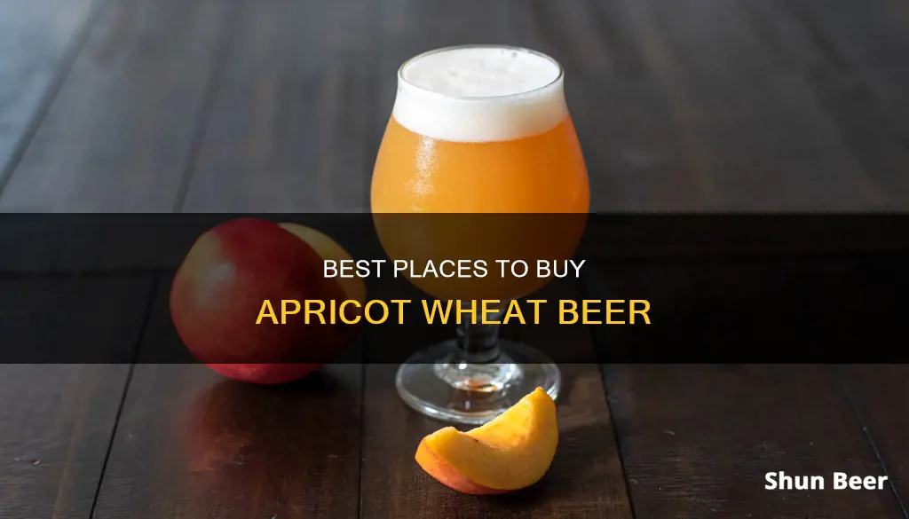 where can i buy apricot wheat beer