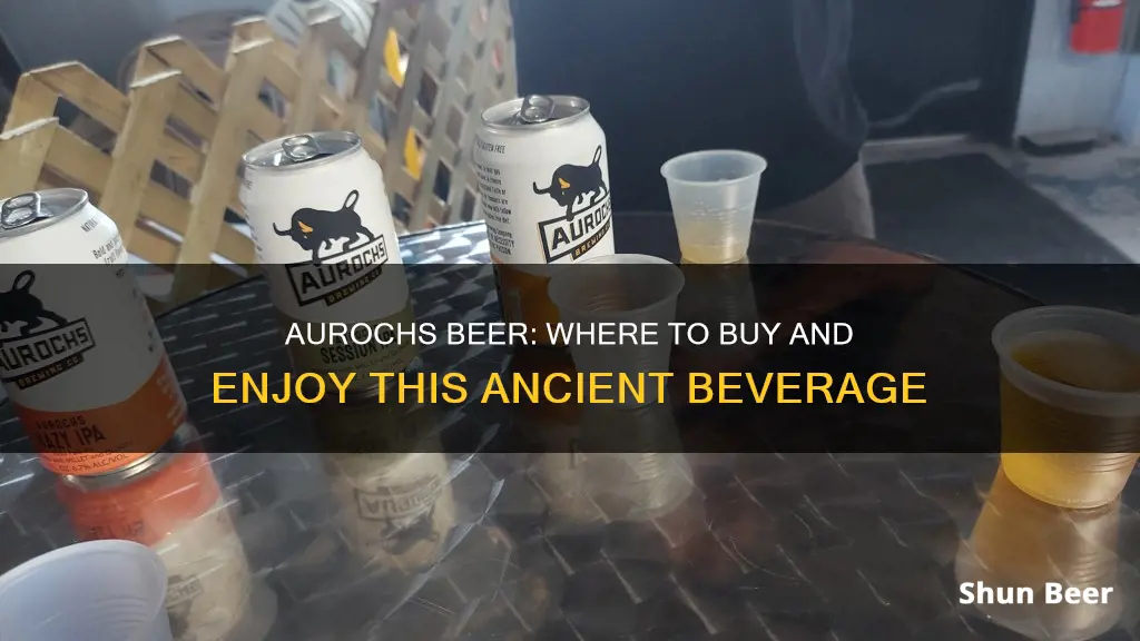 where can i buy aurochs beer