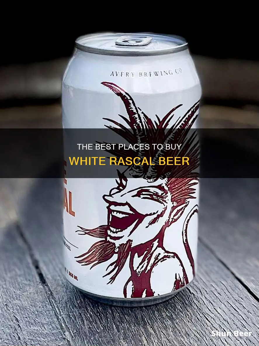 where can i buy avery white rascal beer