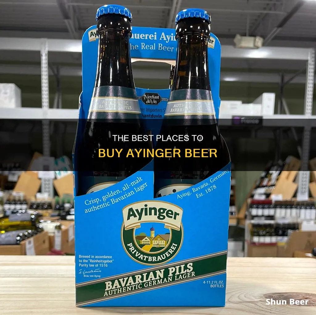 where can i buy ayinger beer