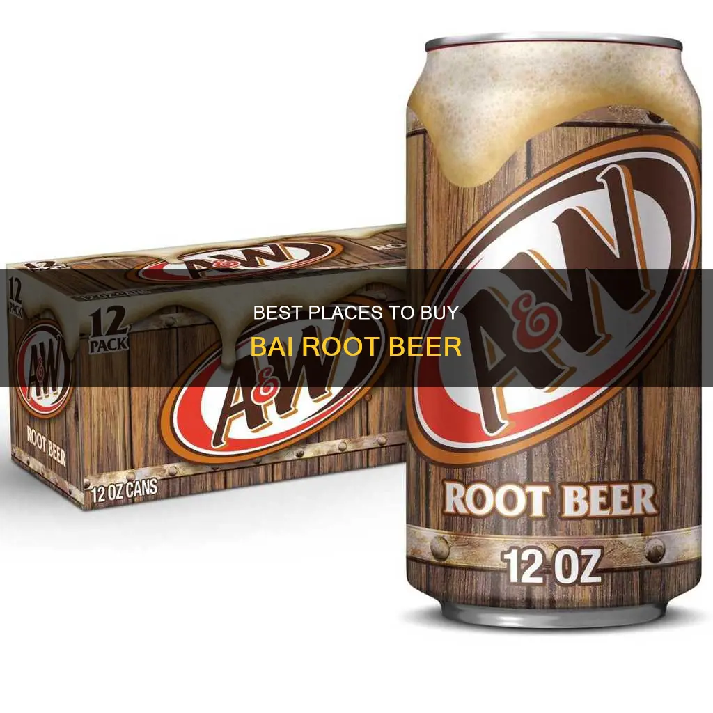 where can i buy bai root beer