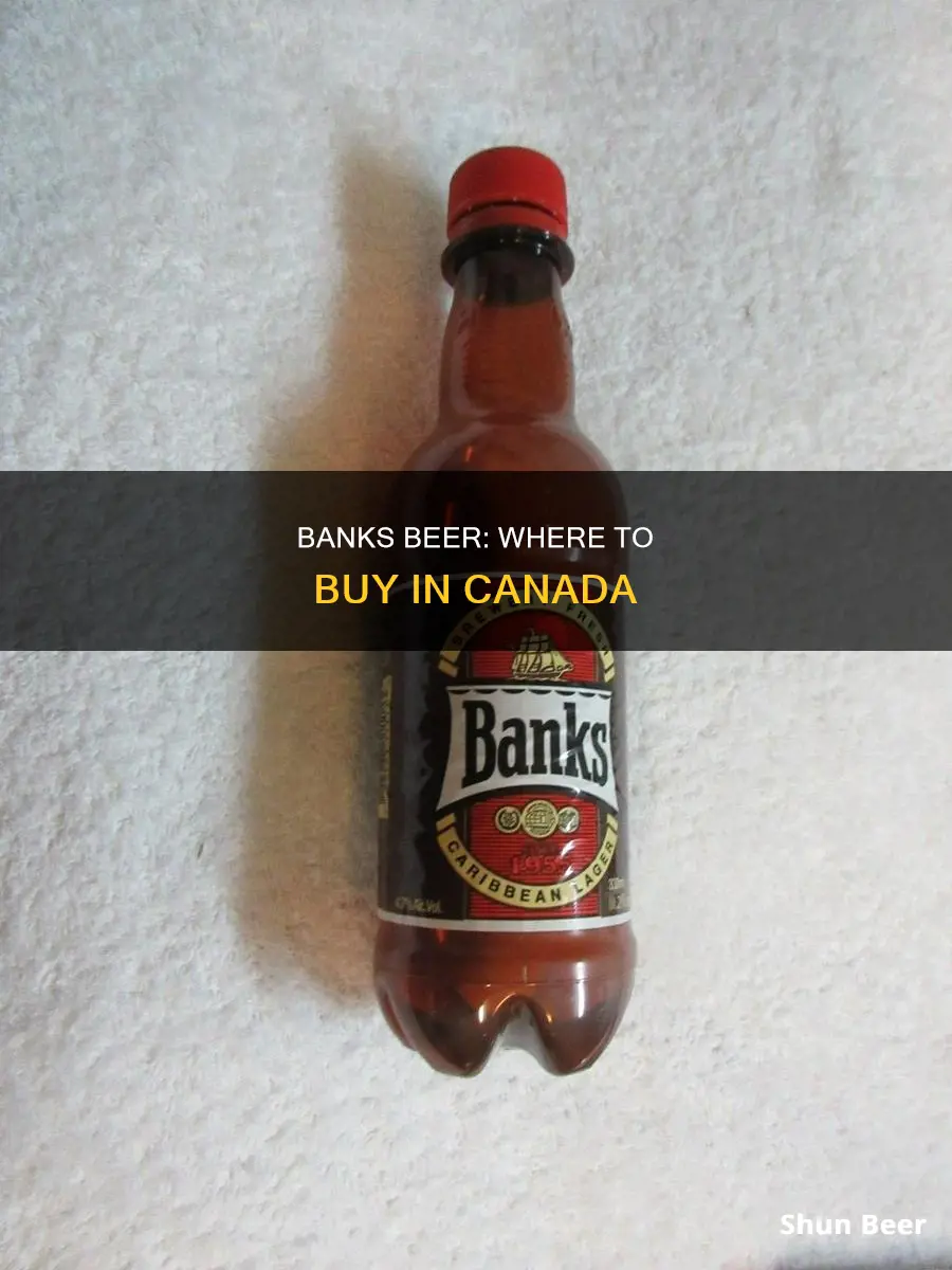 where can i buy banks beer in canada