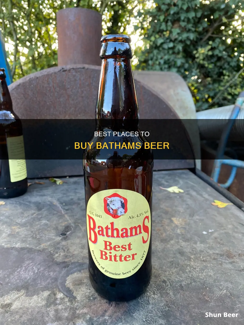 where can i buy bathams beer