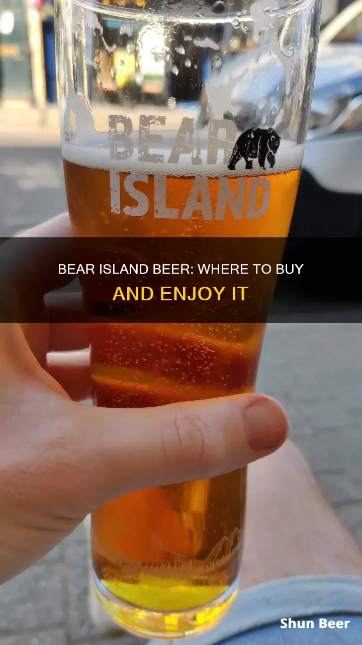 where can i buy bear island beer