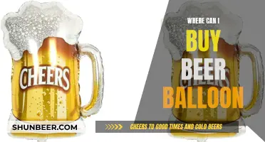 Best Beer Balloon Buying Options for You