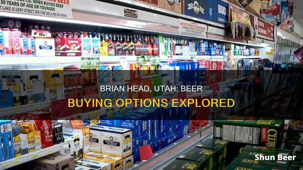 where can i buy beer in brian head utah