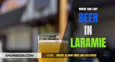 Best Beer Buying Options in Laramie