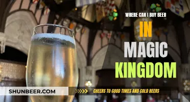 Magic Kingdom's Beer Oasis: Where to Buy?