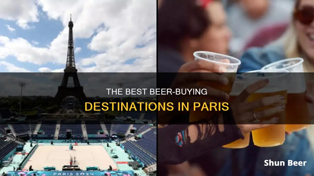 where can i buy beer in paris