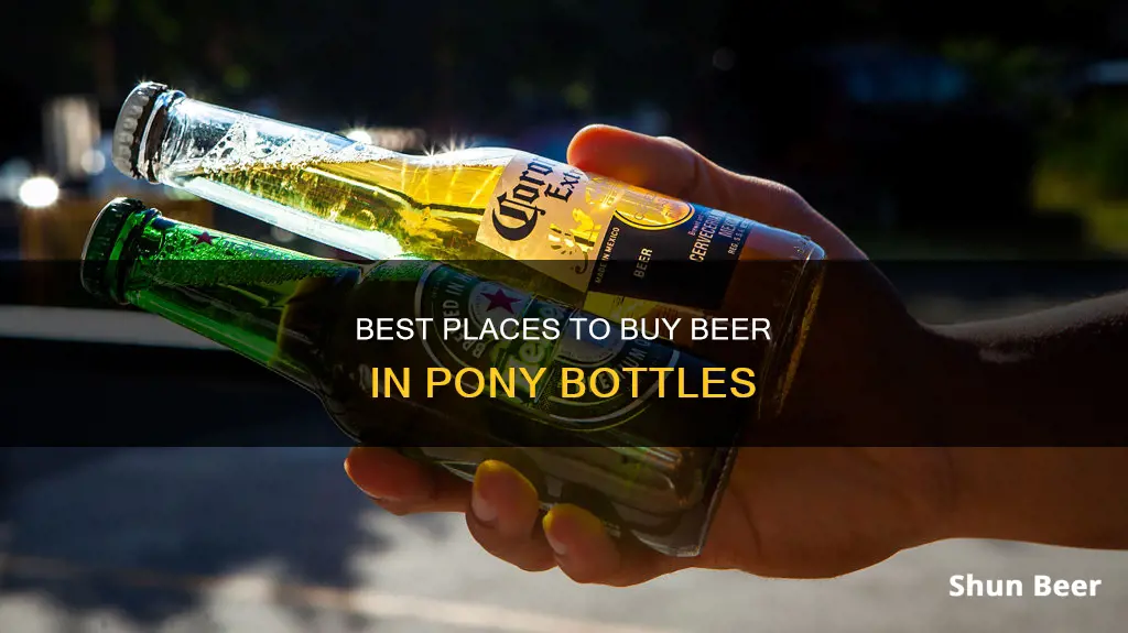 where can i buy beer in pony bottles