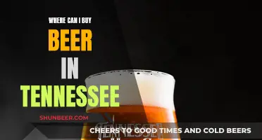 Tennessee Beer: Where to Buy and Enjoy