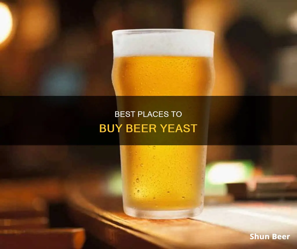 where can i buy beer yeast