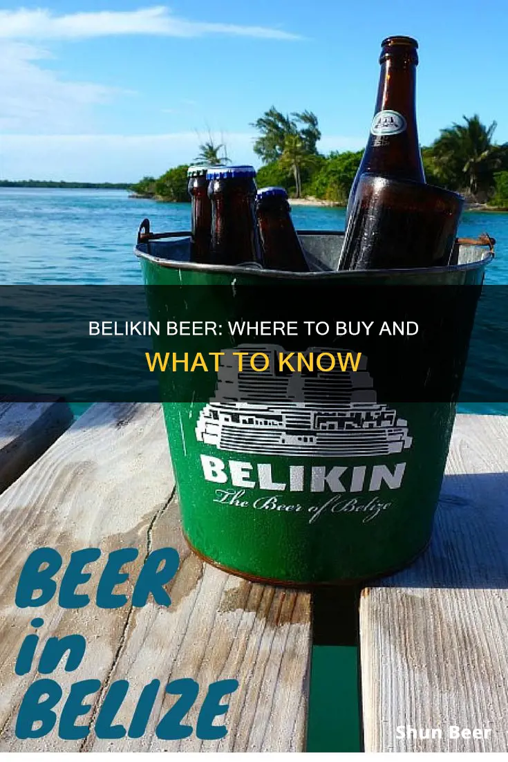 where can i buy belikin beer