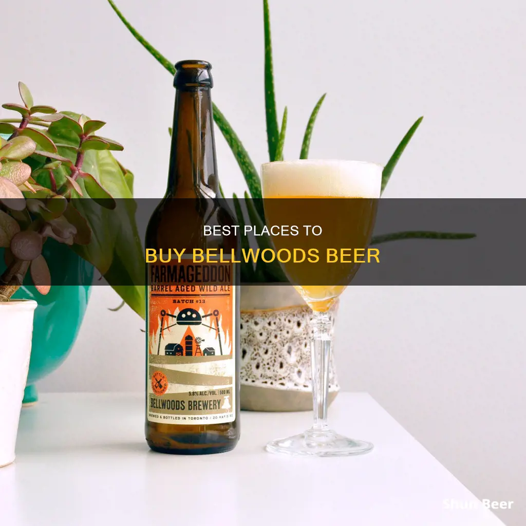 where can i buy bellwoods beer