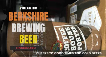 Berkshire Brewing Beer: Where to Buy and Enjoy Locally