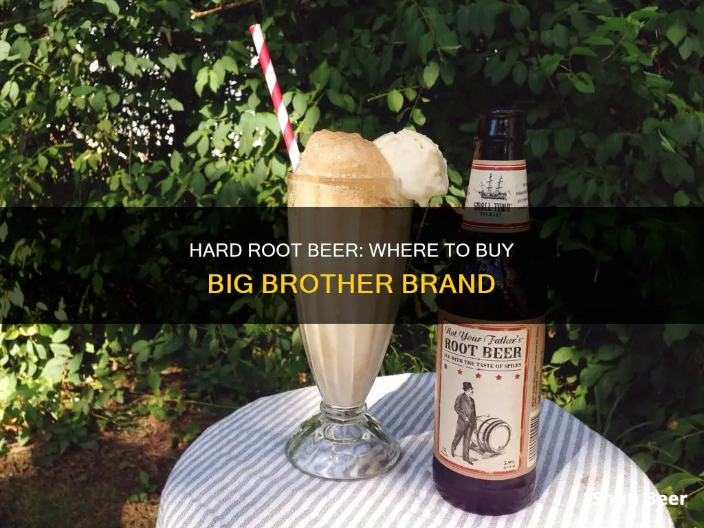 where can i buy big brother hard root beer