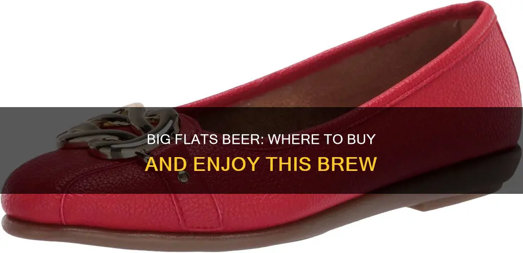 where can i buy big flats beer