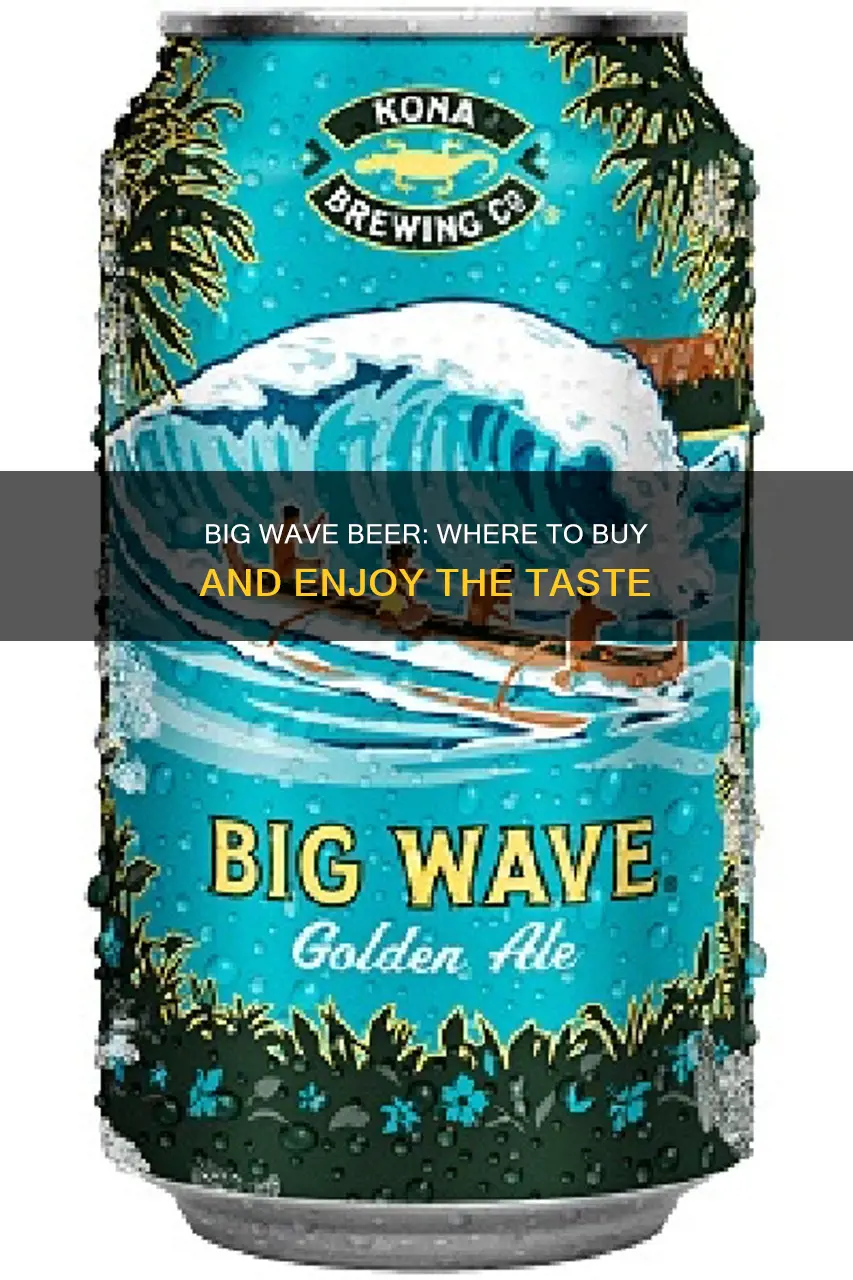 where can i buy big wave beer