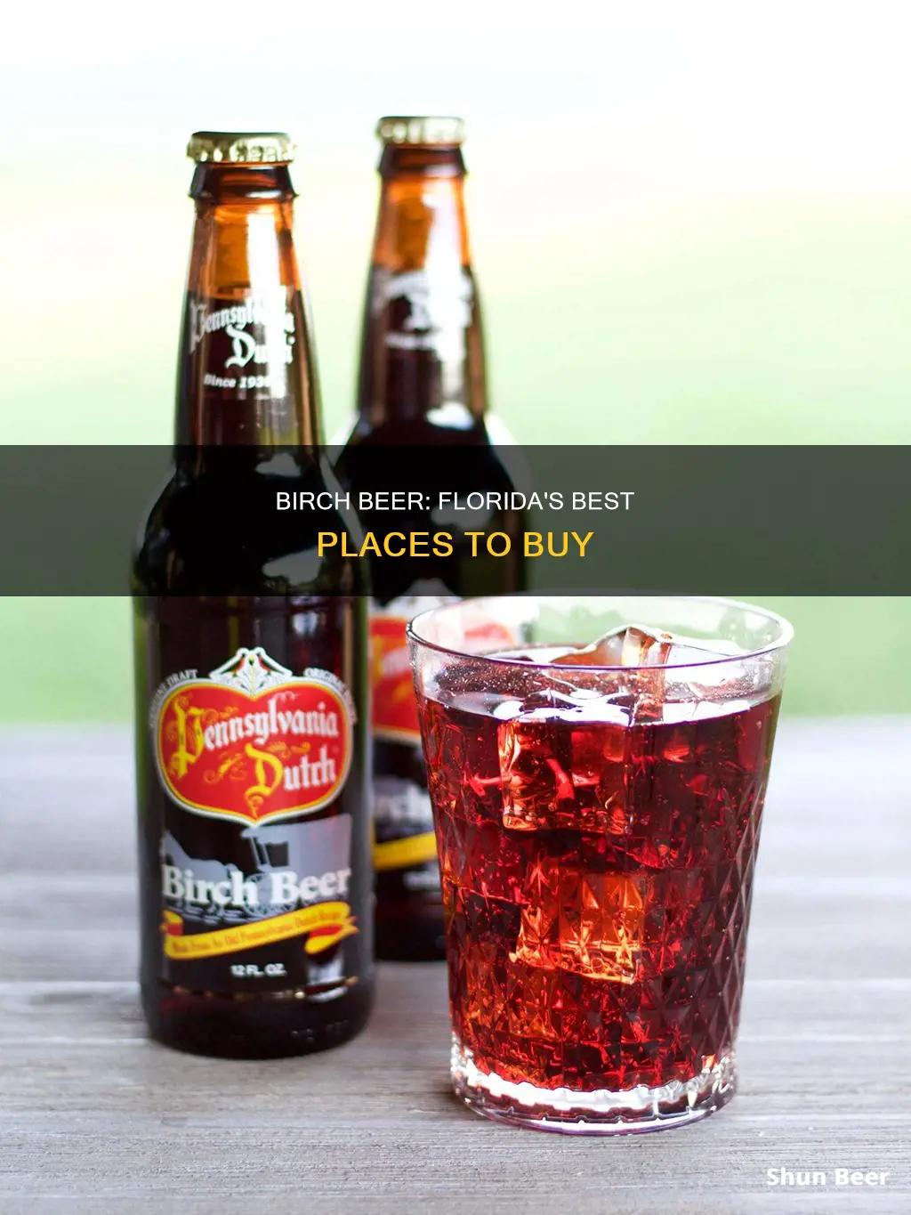 where can i buy birch beer in florida