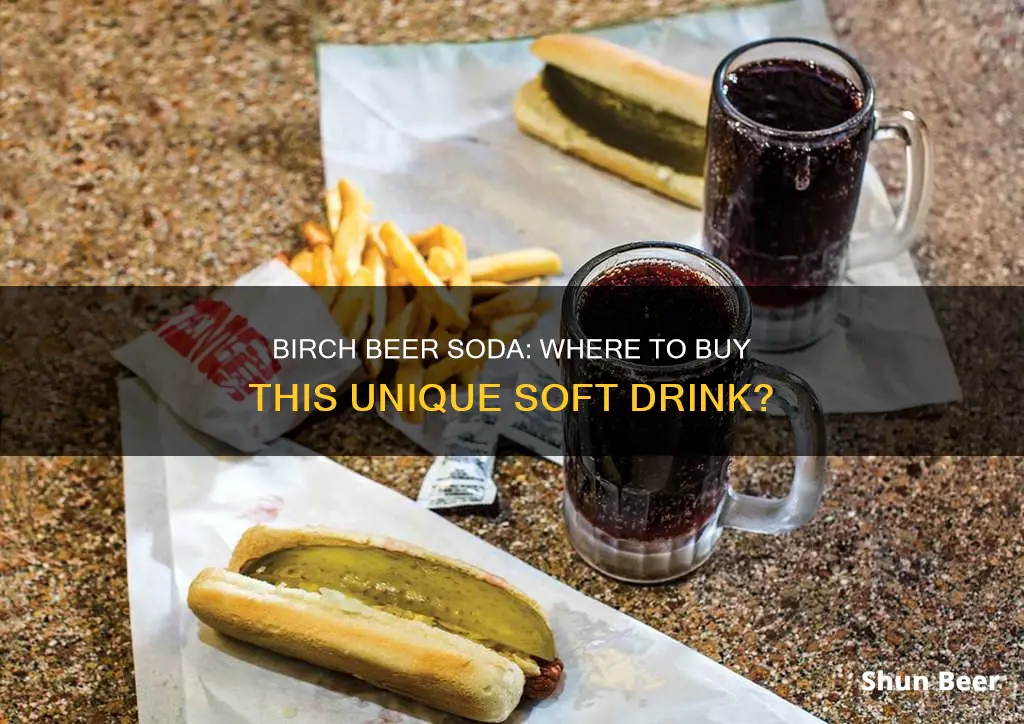 where can i buy birch beer soda