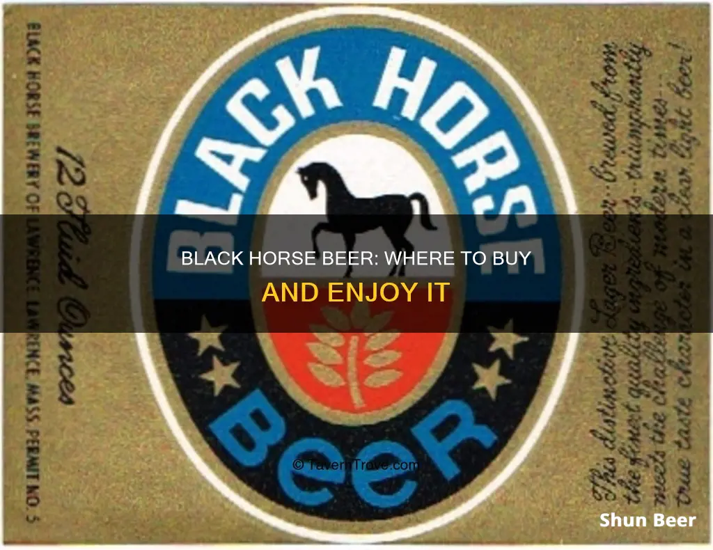 where can i buy black horse beer