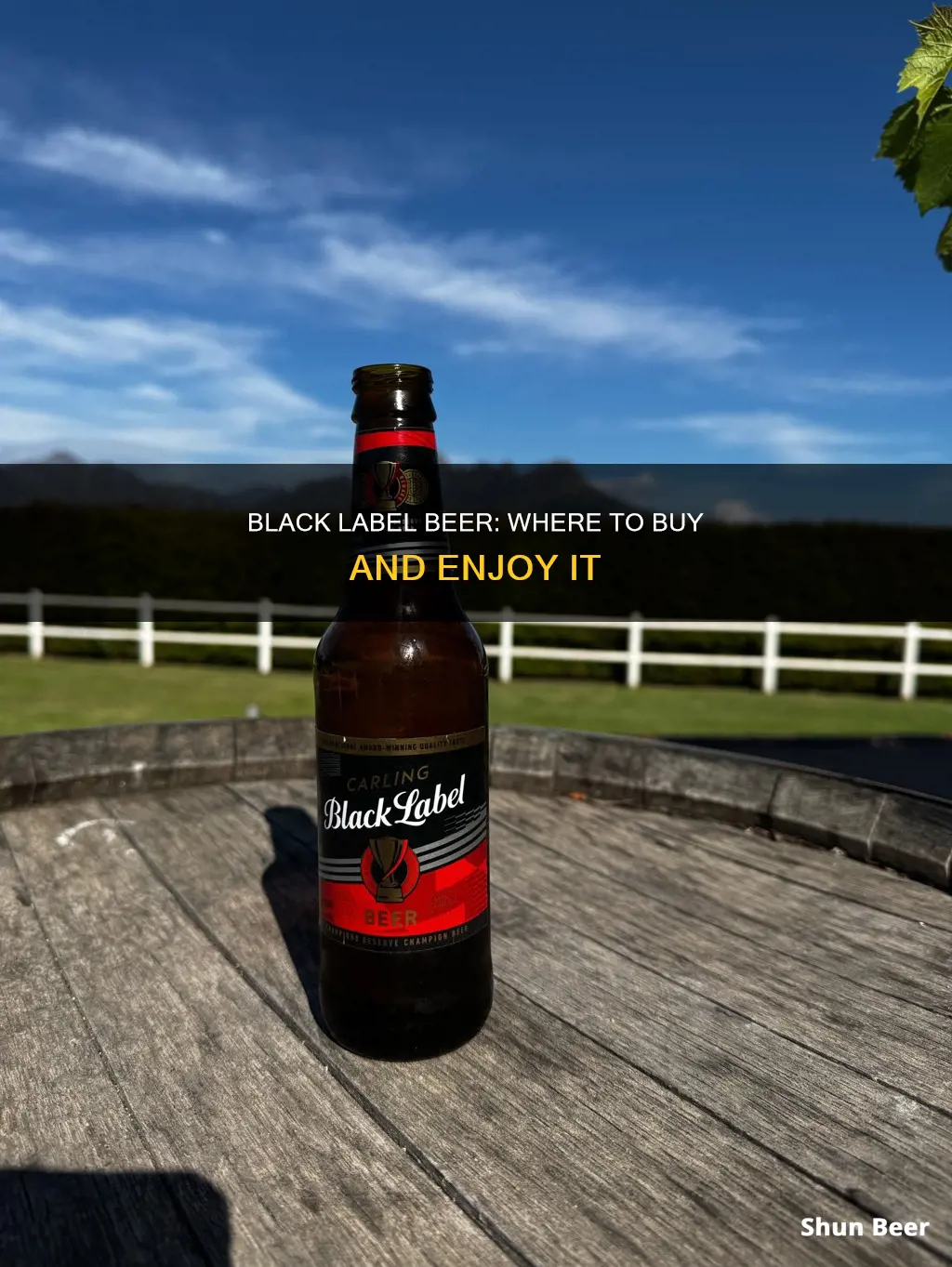 where can i buy black label beer