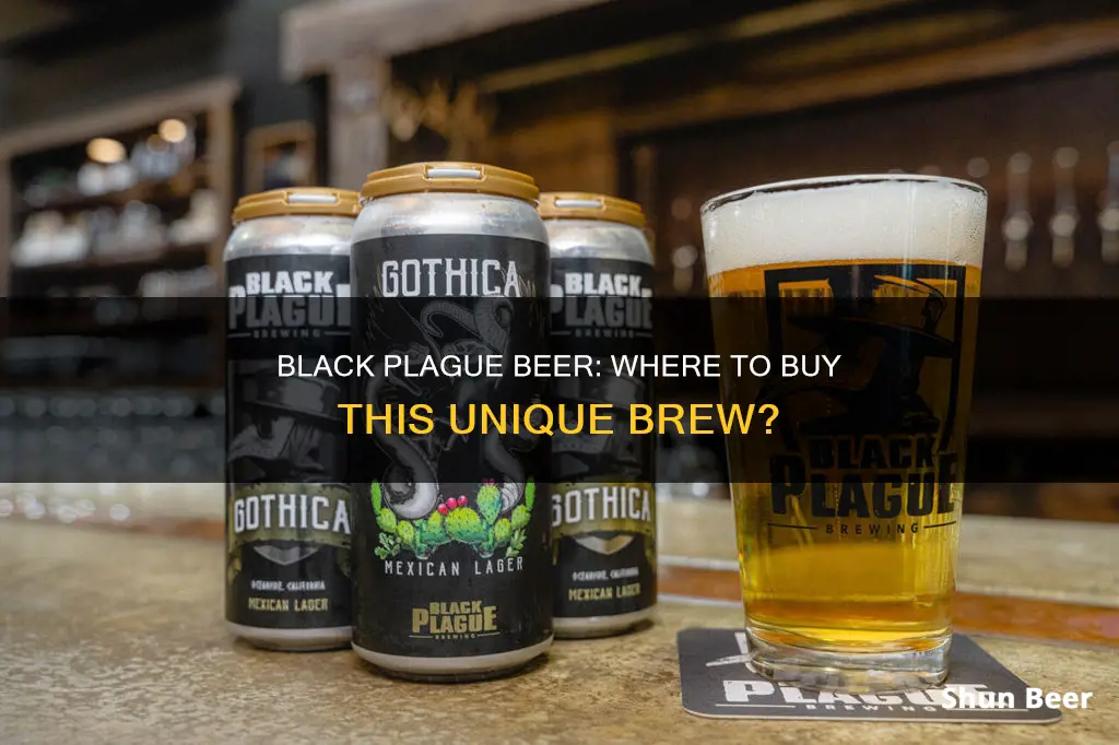 where can i buy black plague beer