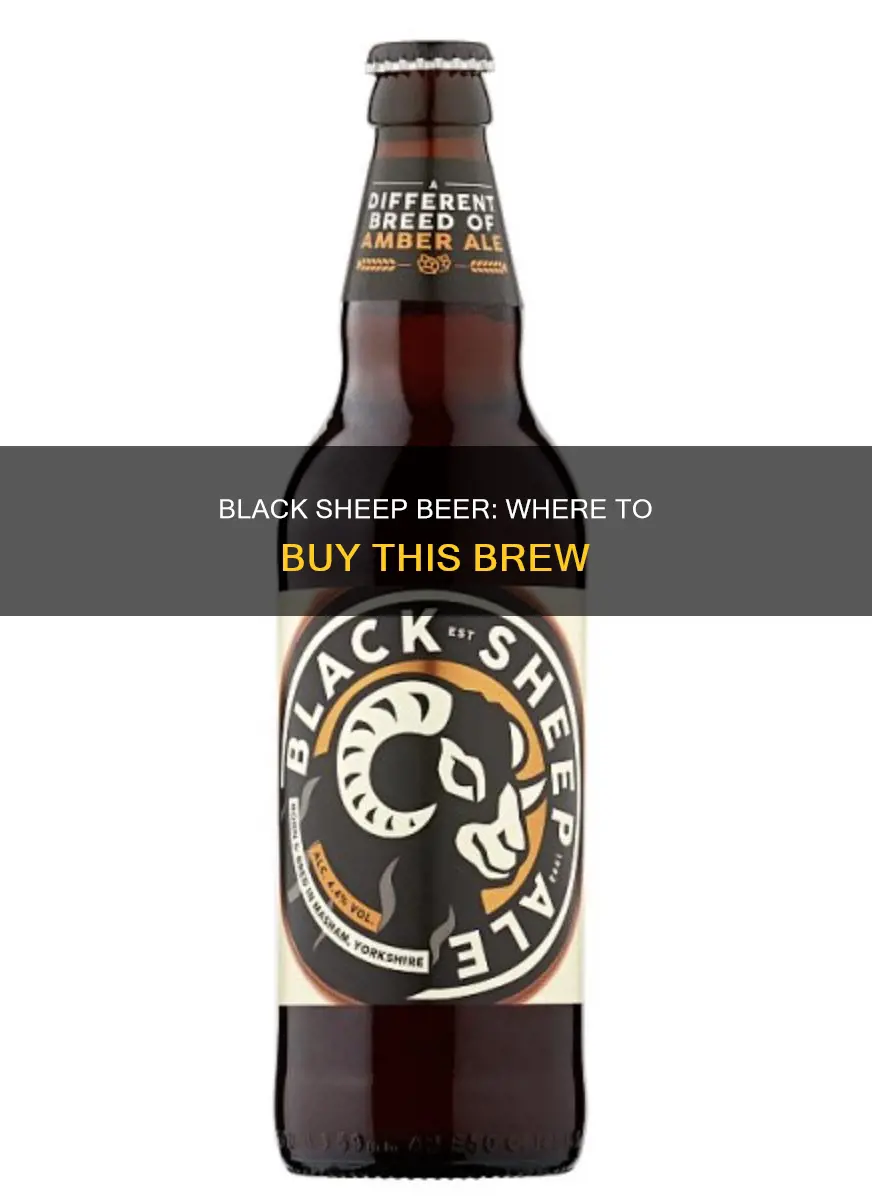 where can i buy black sheep beer