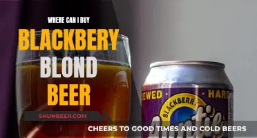 Blackberry Blond Beer: Where to Buy This Unique Brew