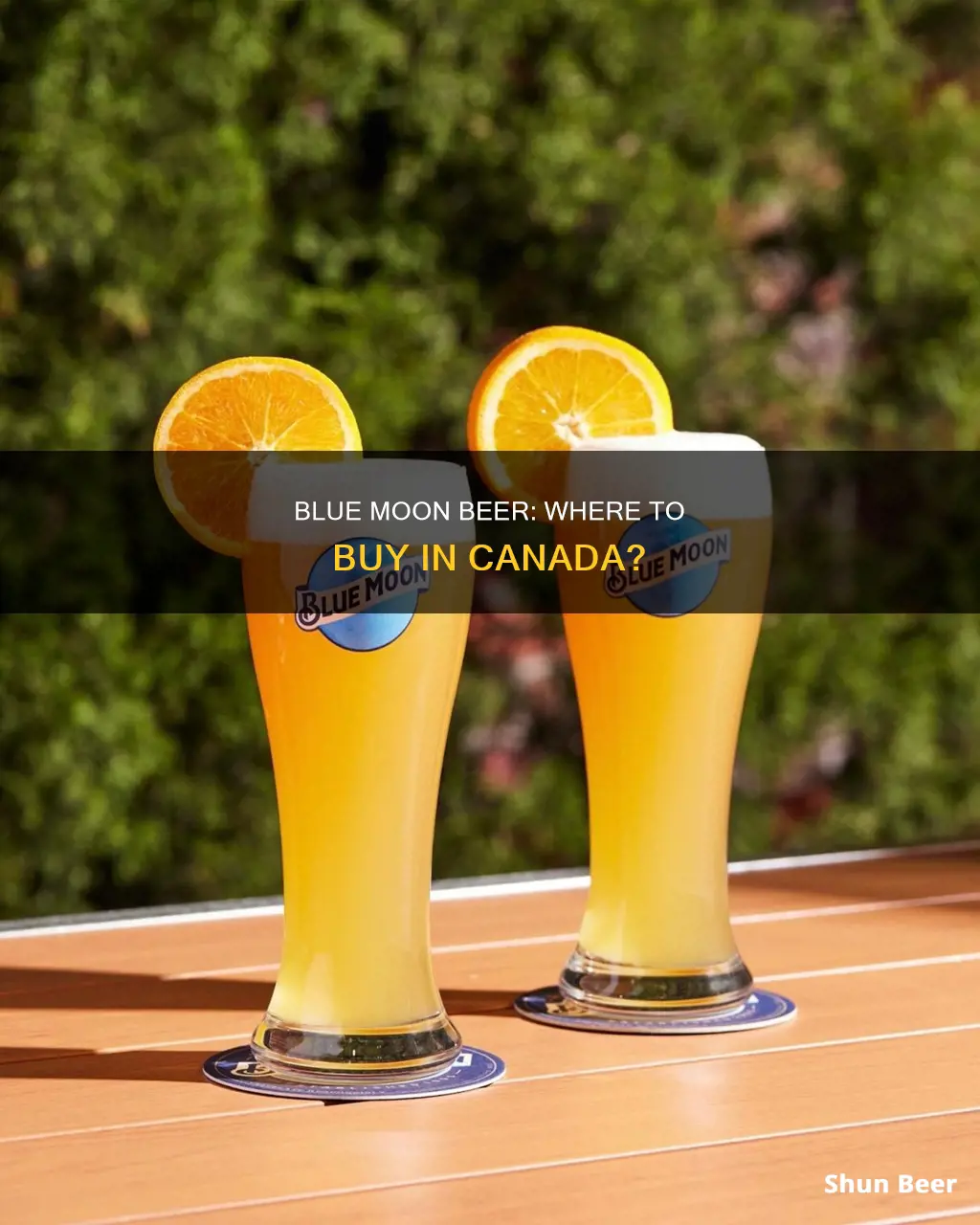 where can i buy blue moon beer in canada