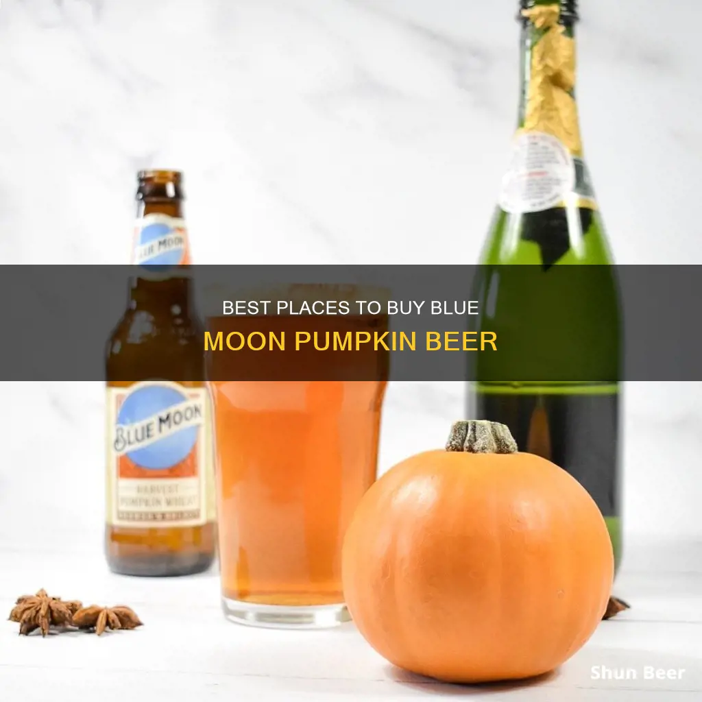 where can i buy blue moon pumpkin beer