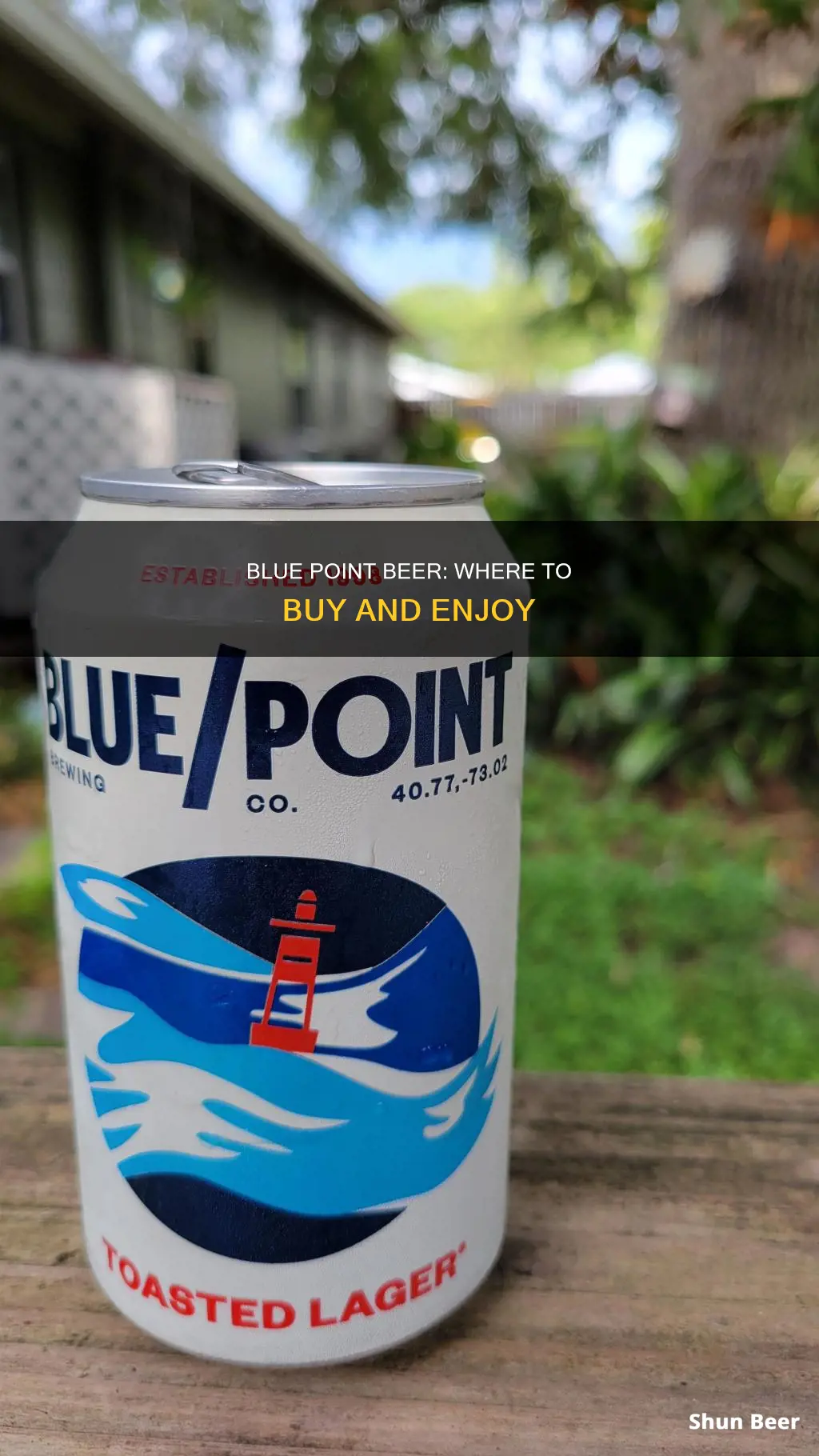 where can i buy blue point beer