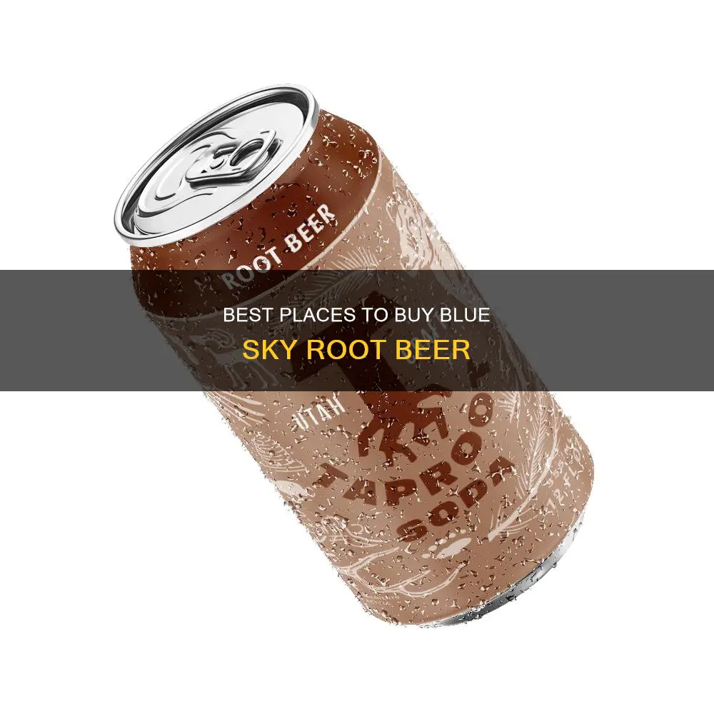 where can i buy blue sky root beer