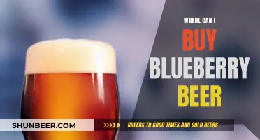 Blueberry Beer: Where to Buy This Delicious Treat