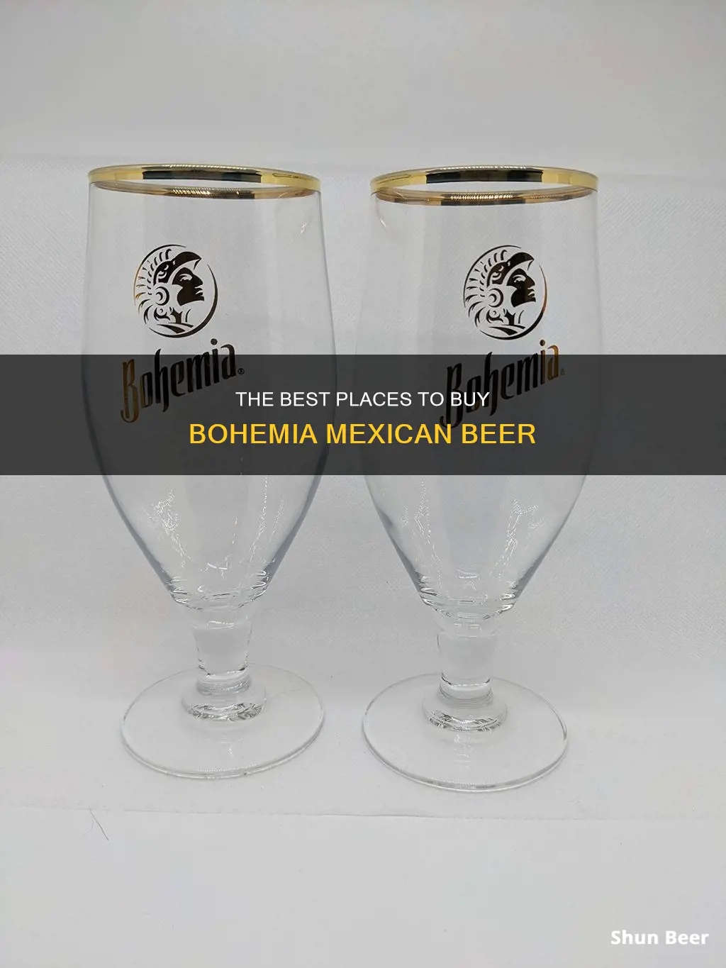 where can i buy bohemia mexican beer